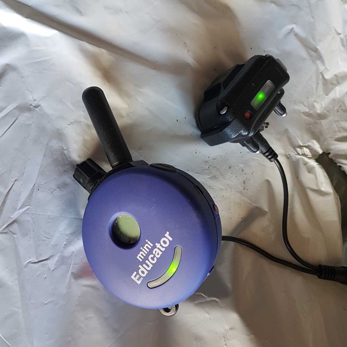 mini educator e-collar et-300 obroża elektryczna pilot lub nadajnik