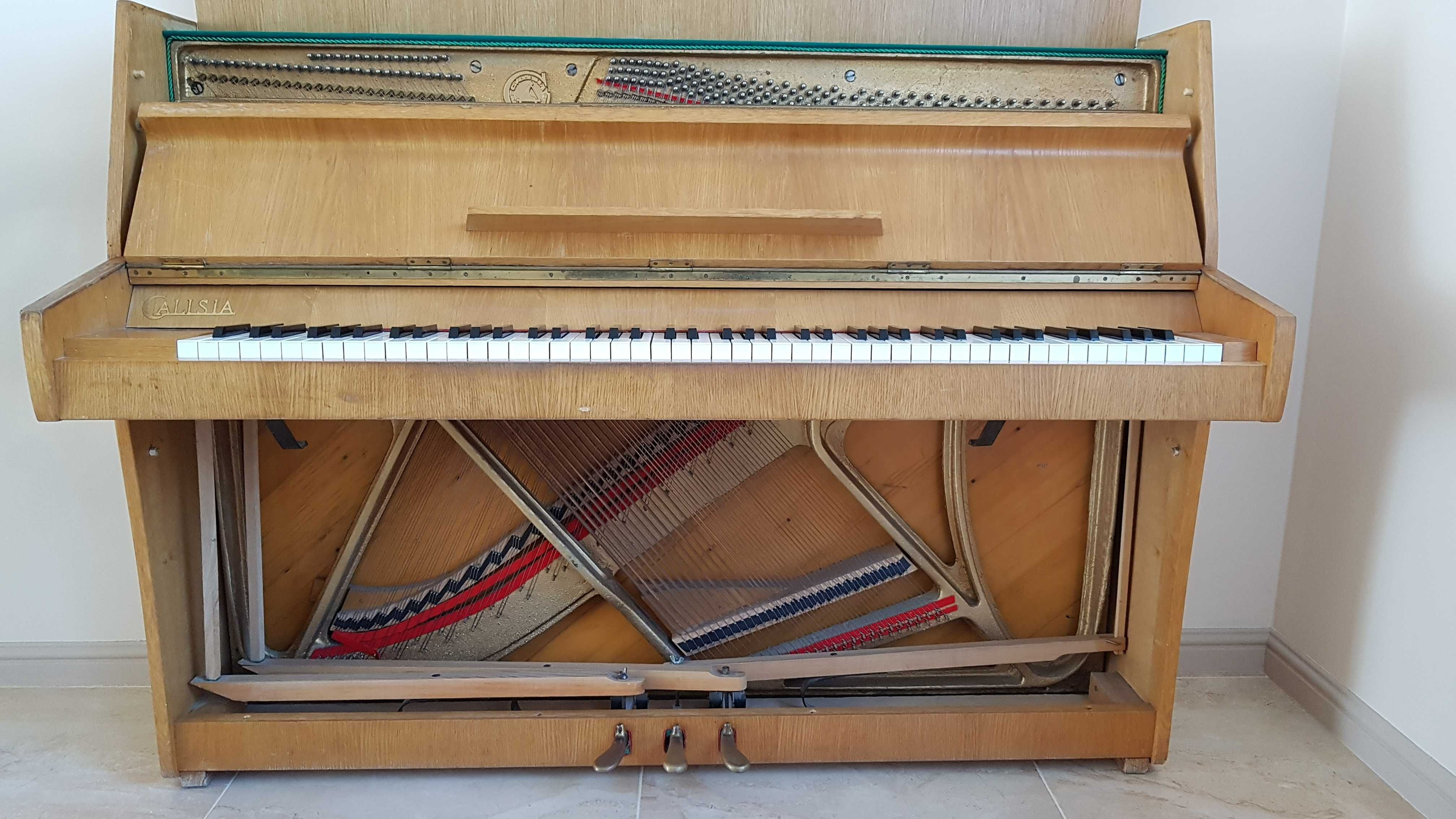 Pianino Calisia M-105