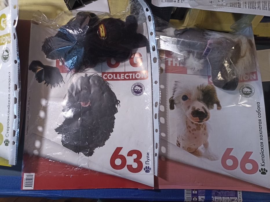The Dog Collection