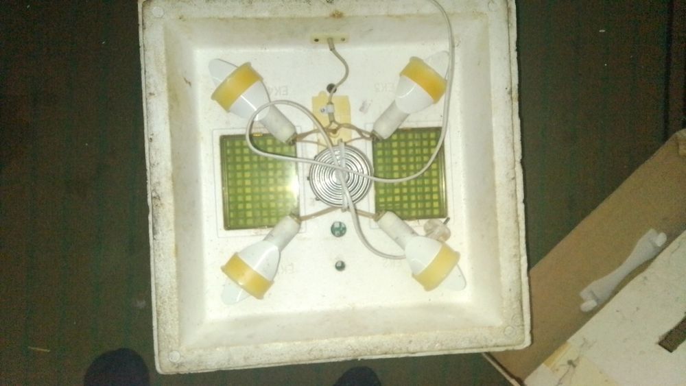 Інкубатор квочка