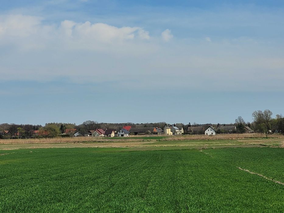 Pole orne dzialka gm Długołęka