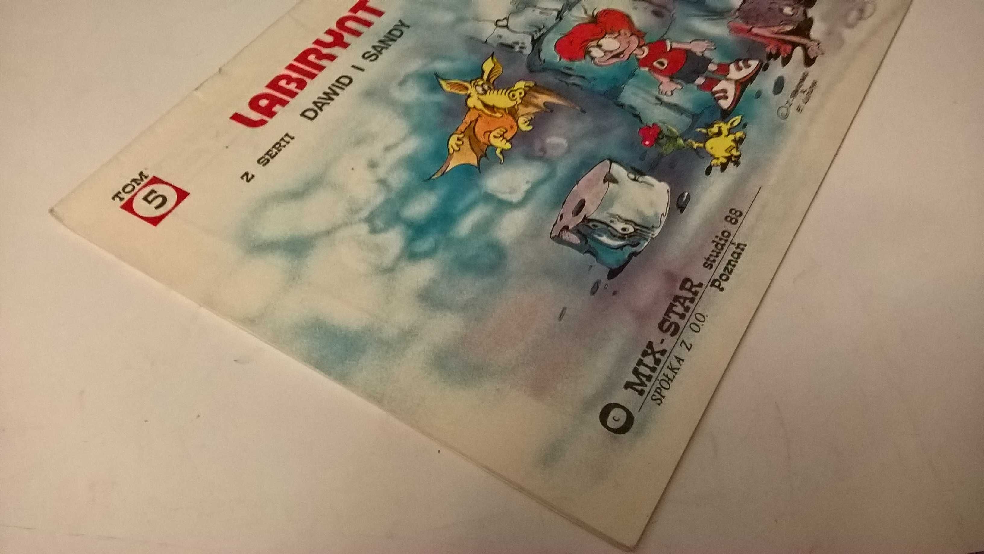 Labirynt. Z serii Dawid i Sandy tom 5  Z. Stanisławski, Edward Lutczyn