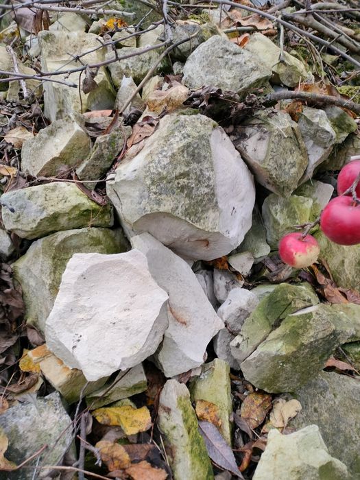 Kamień wapienny, wapień,opoka na elewacje.