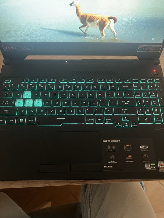 Laptop gamingowy ASUS TUF A15 – RTX 3060, R7-5800H 16GB RAM, SSD 512GB