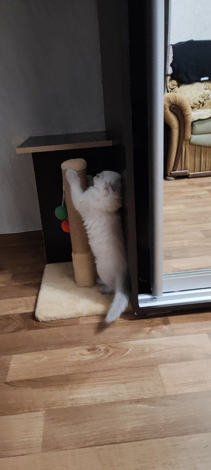 Когтеточка  дряпка для котенка