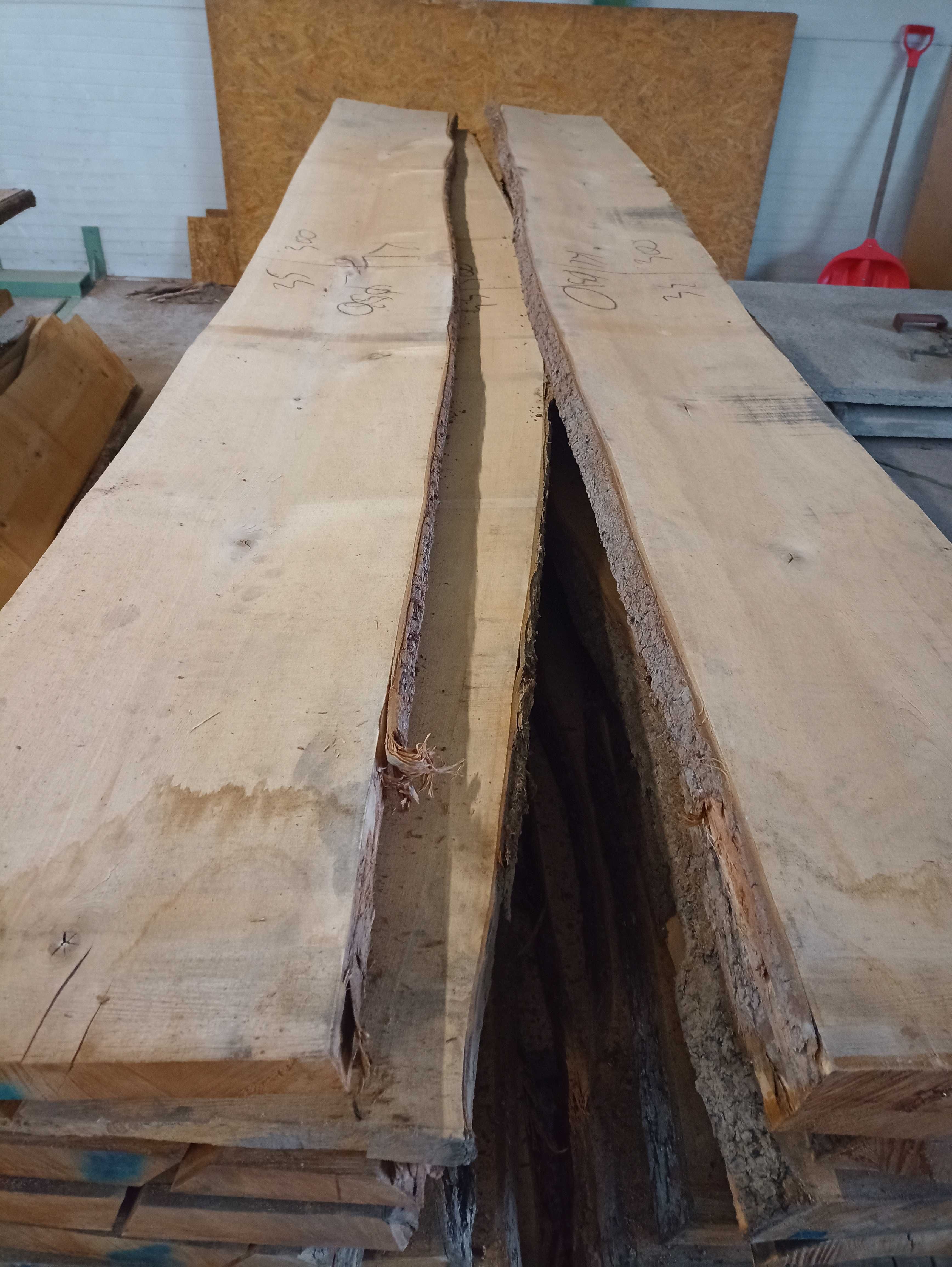 Tarcica klonowa klon suchy 50,46 mm