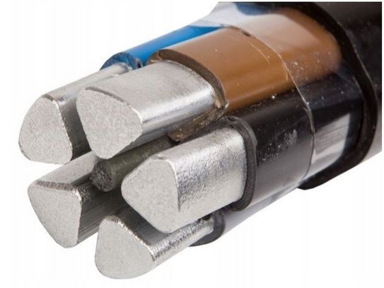 Kabel firmy TF Kable YAKXS-żo 0,6/1 kv 5x16SE