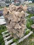 Prawdziwy Kamień - RÓŻA PUSTYNI - Kwiat Pustyni Akwarium Terrarium
