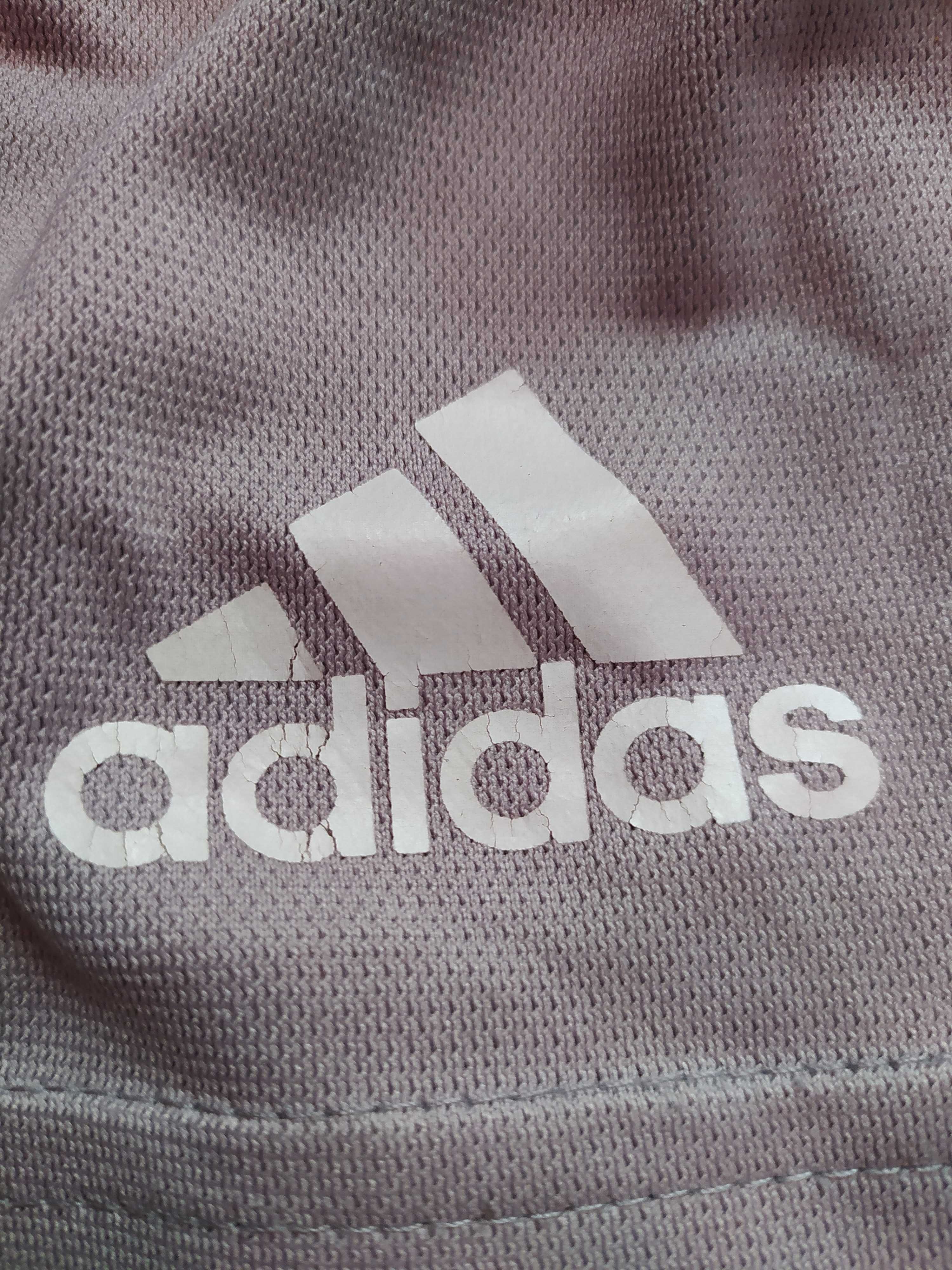 Spodenki krótkie, szorty adidas rozmiar 104