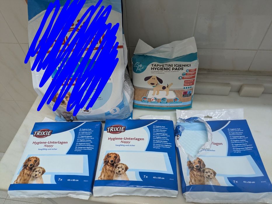 Conjunto cachorro tapetes resguardos de treino