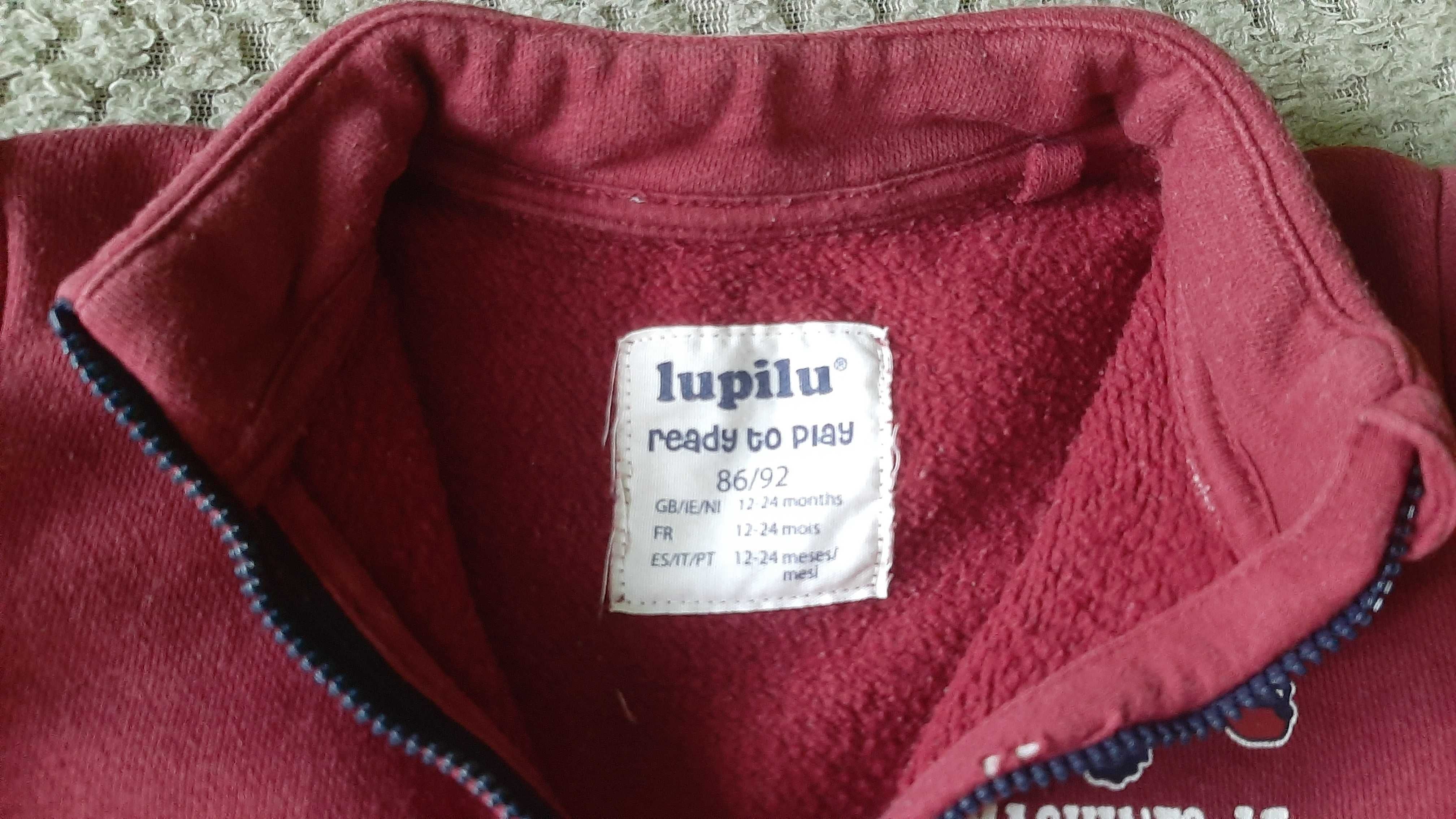 Bluzy chłopięce Lupilu roz 86-92
