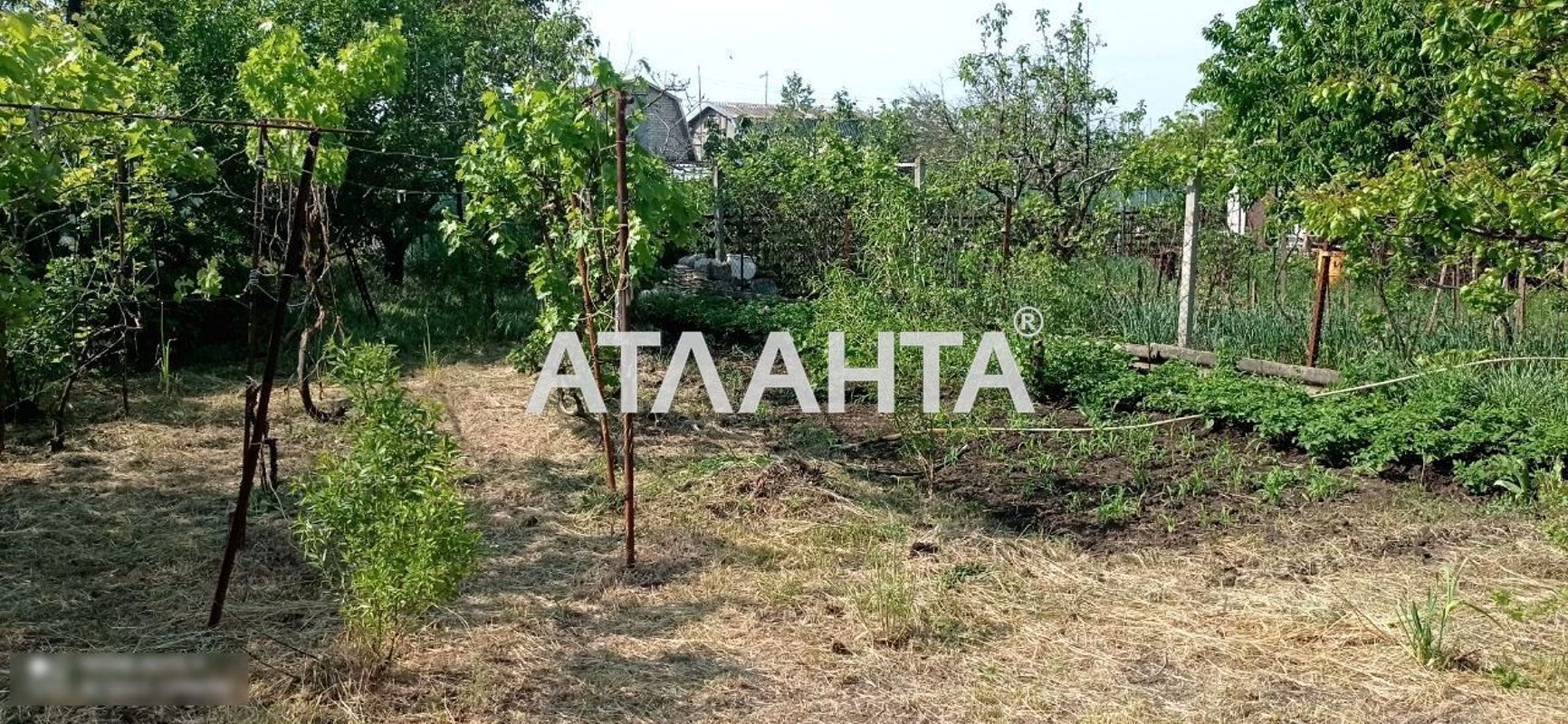 Приятный дом-дача в пригороде. Малое / Егоровка. Рядом Алтестово