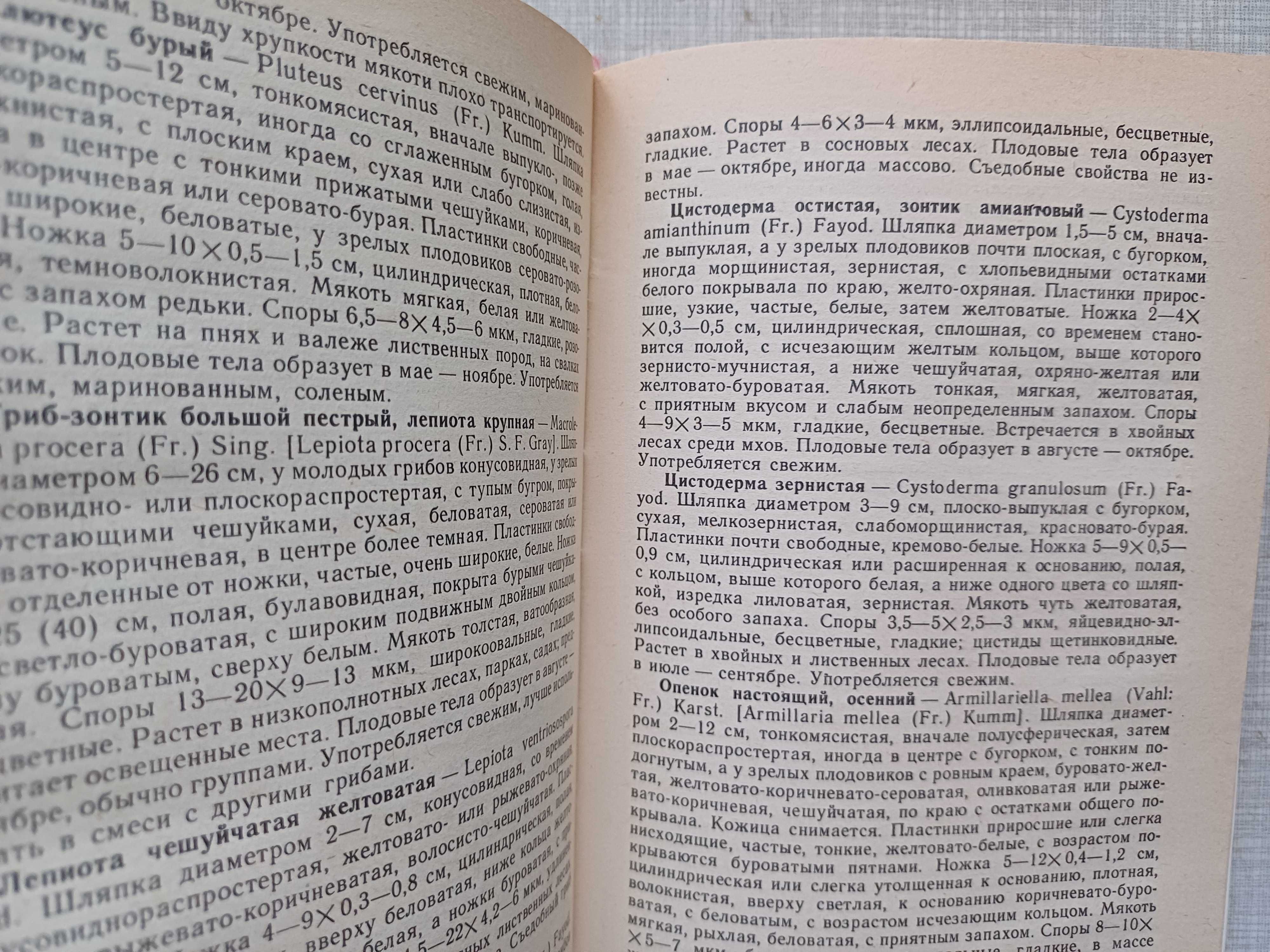 Всё о съедобных грибах, справочник, грибы