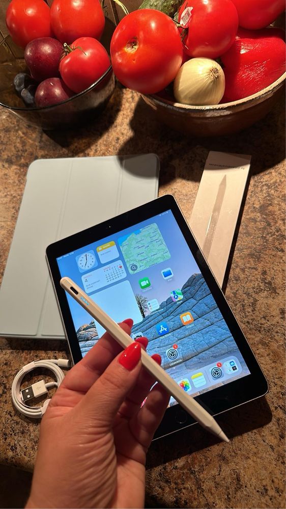Tablet iPad Apple Retina - TOUCH ID - PROCREATE