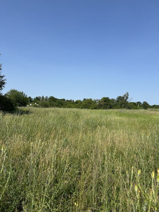 Обуховка ділянка 43 сот.