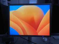 Monitor Nec Multisync 2190UXi