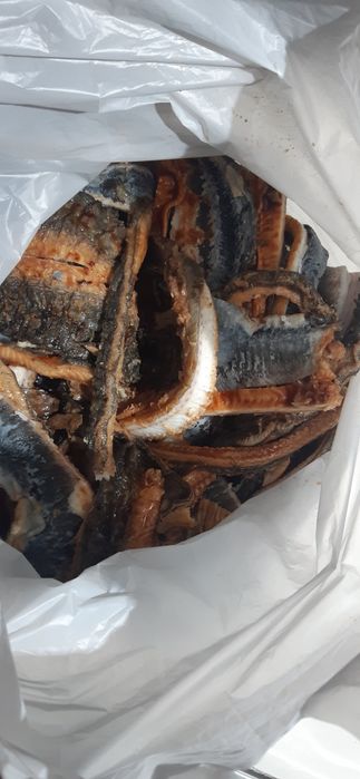 Шкура капченного угря