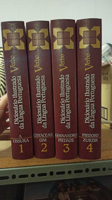 Dicionário Ilustrado da Língua Portuguesa Verbo (4 Volumes)