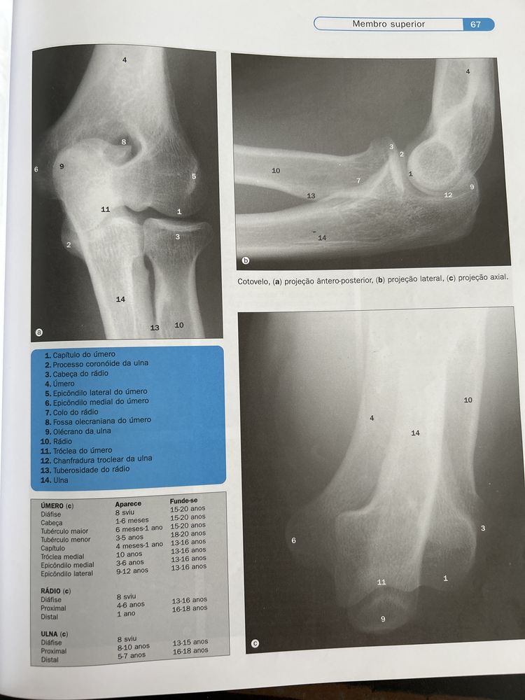 Atlas de Anatomia Humana em Imagem 3ªEdicao