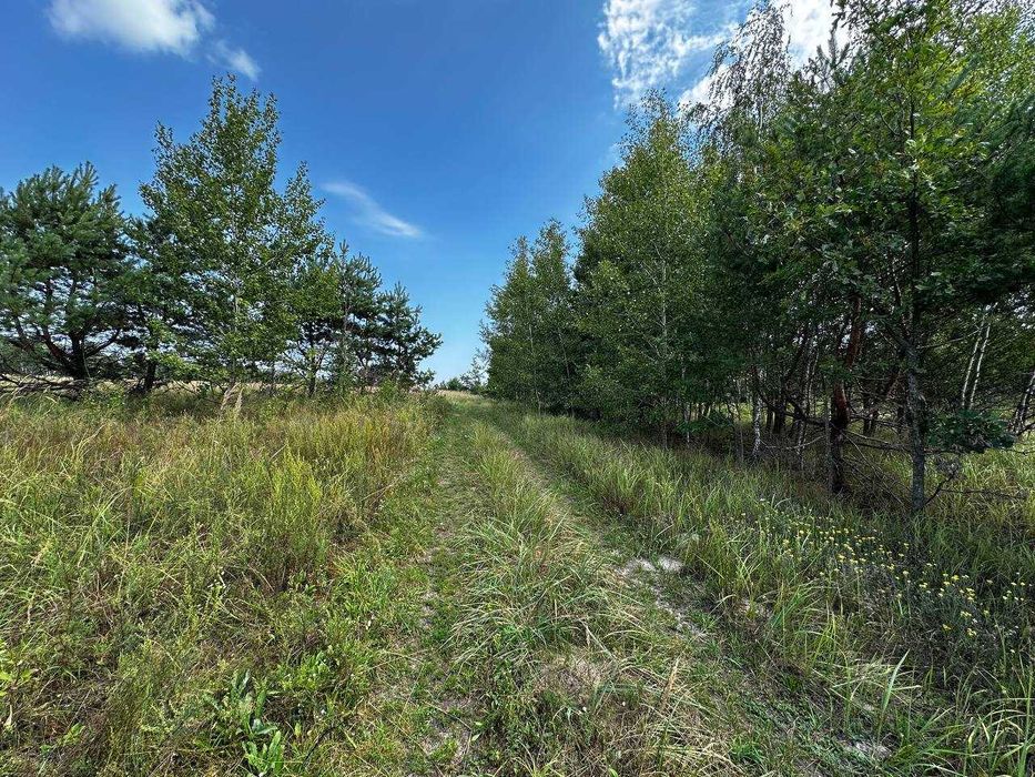 Терміновий продаж 41,5 сотка по найдешевшій ціні