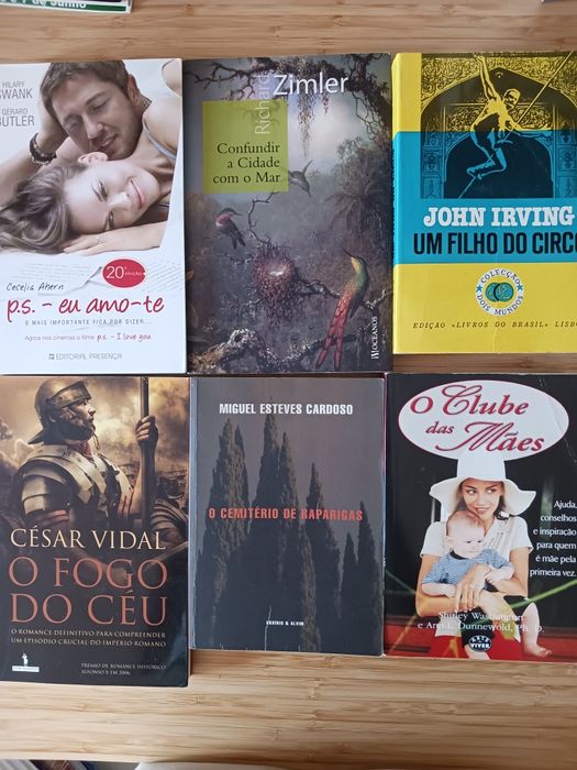 Lote de 24 livros temas e escritores diversos