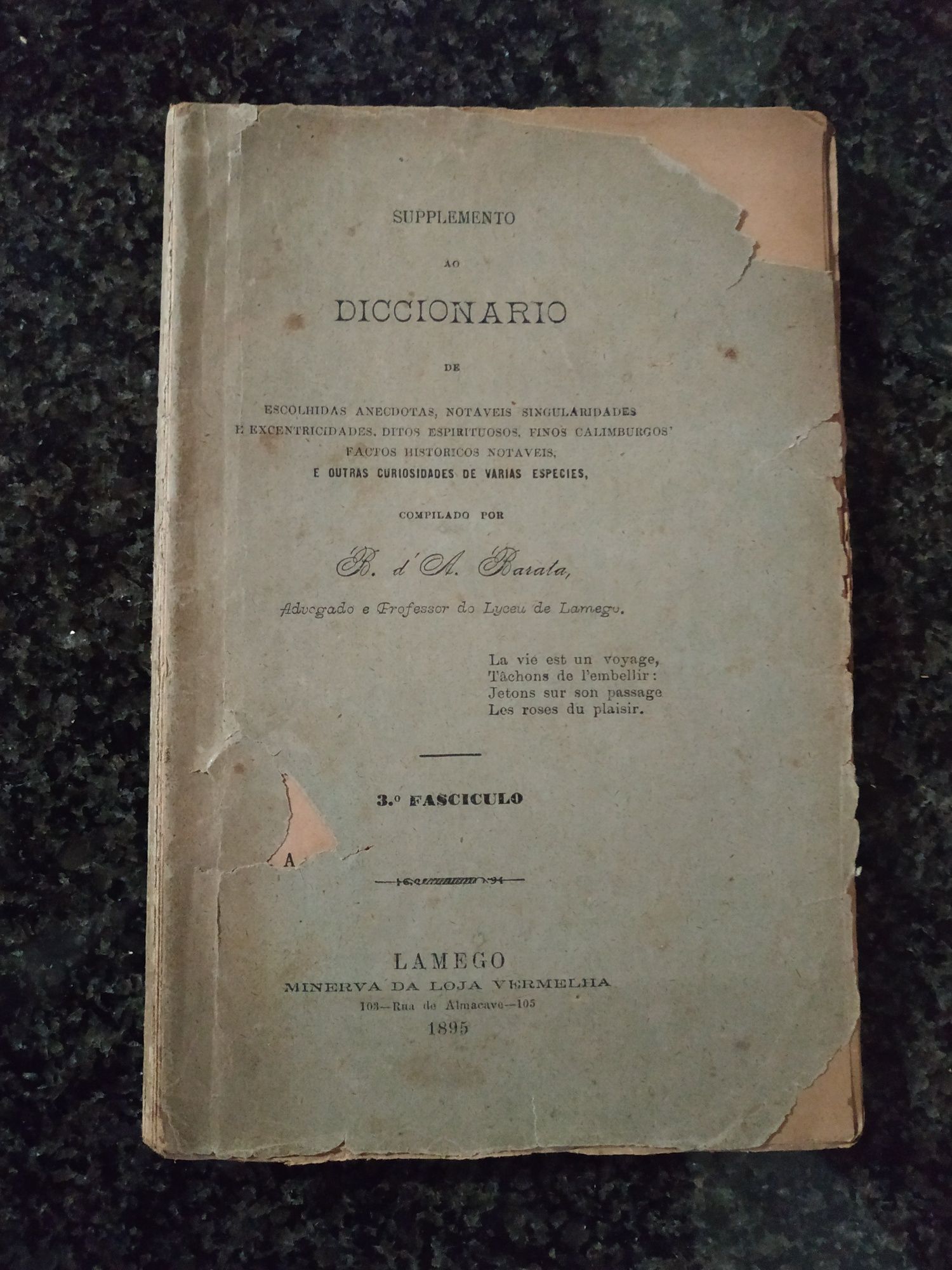 Livro Supplemento ao Diccionario de 1895