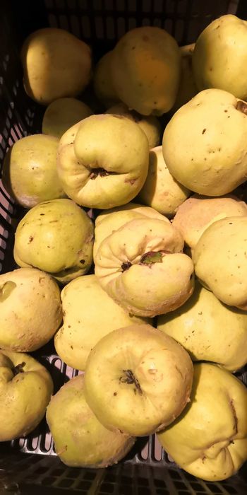 6 kg    marmelos