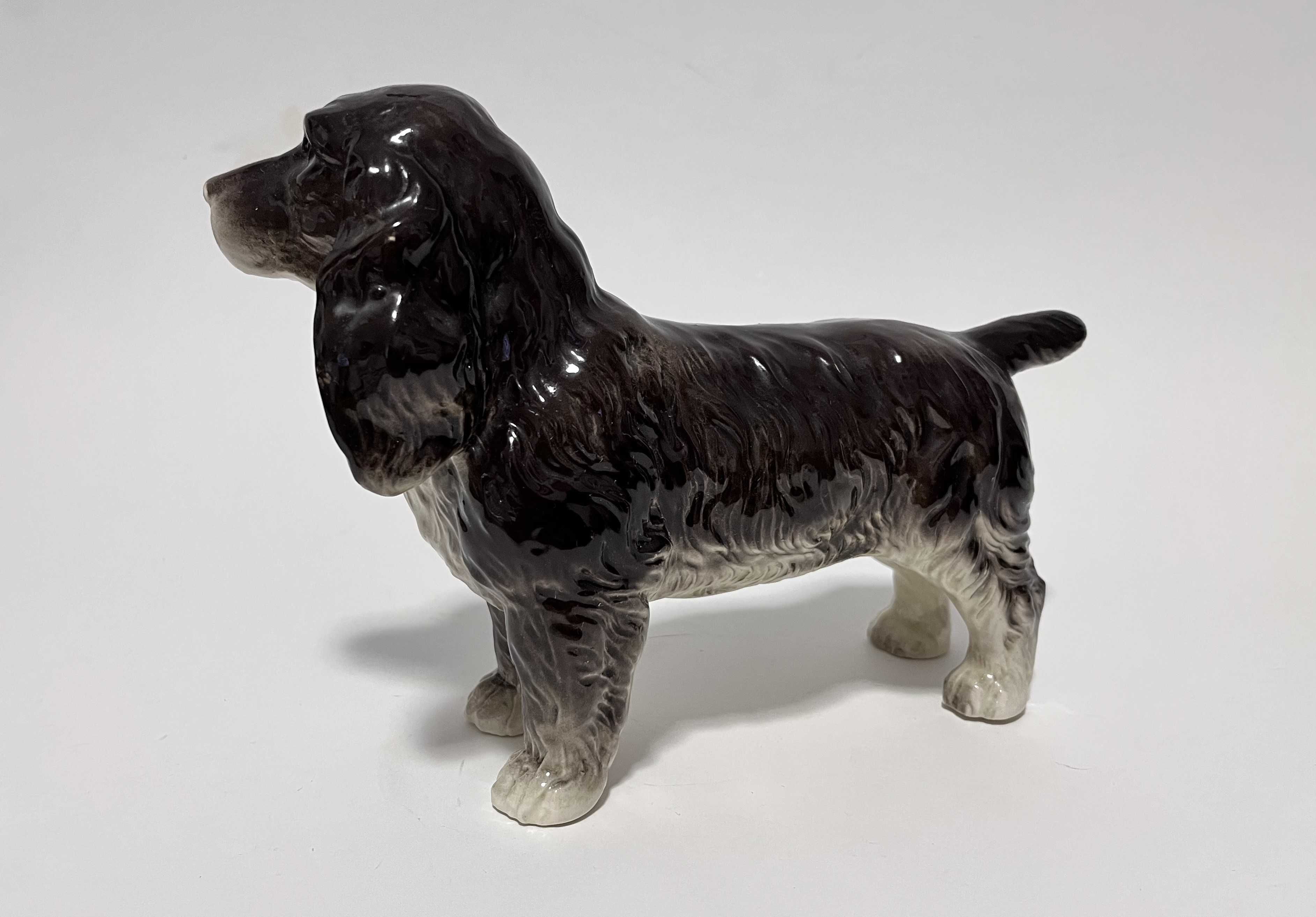 Porcelanowa figurka psa rasy Cocker Spaniel. Niemcy