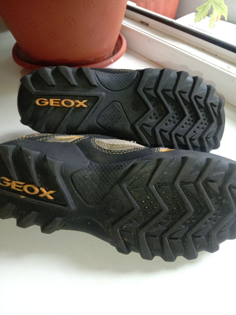 Продам кроссовки GEOX 35 разм.