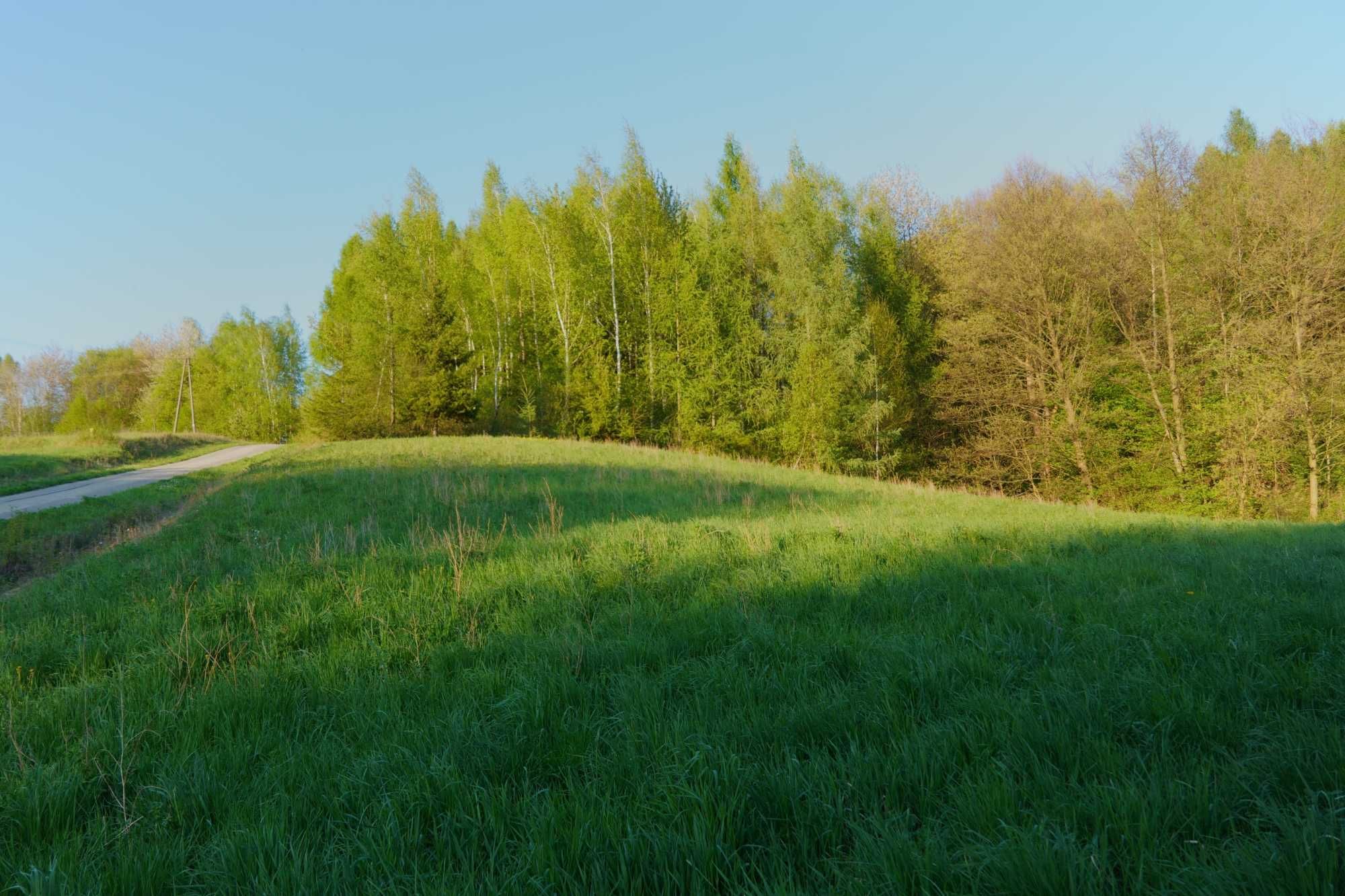 Działka budowlano-rolna 57,9ar w Tuchowie.