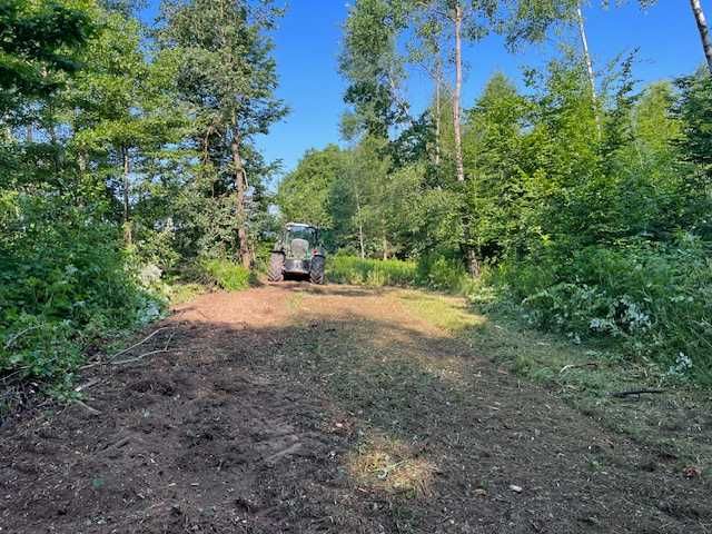 Mulczowanie działek leśnych czyszczenie nieużytków frezowanie pni .
