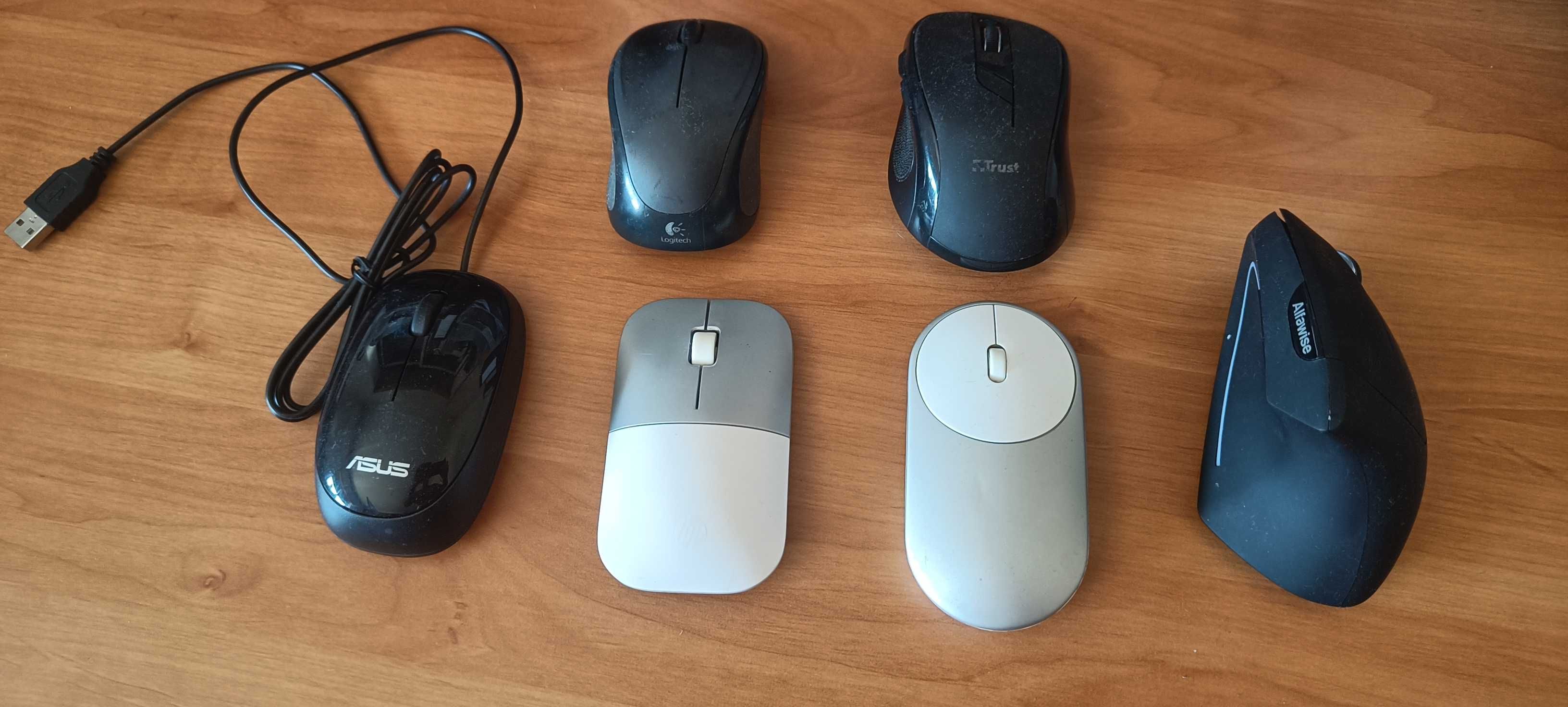 Ratos diversos todos a funcionar