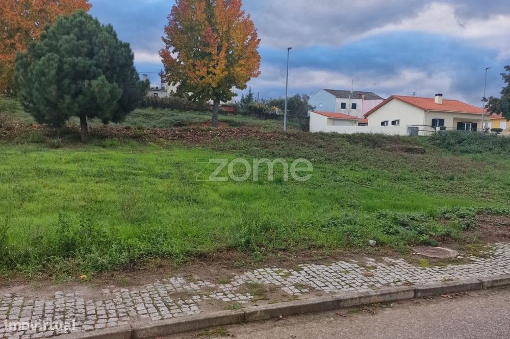 Terreno, Murça