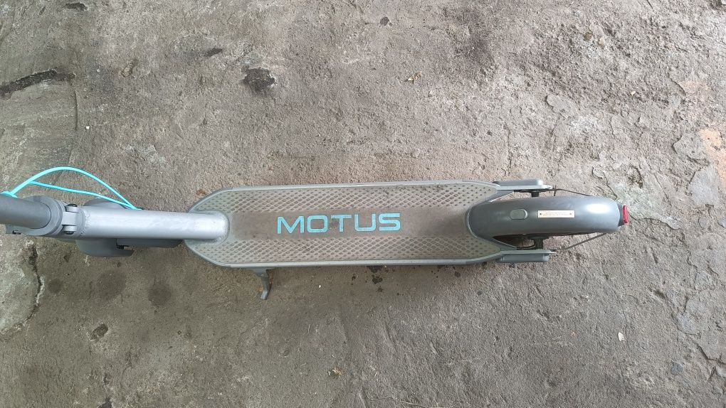 Motus scooty 10 2022