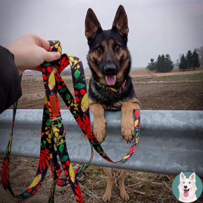 domek legowisko duże posłanie muszla dla gryzonia królika świnki 40x25