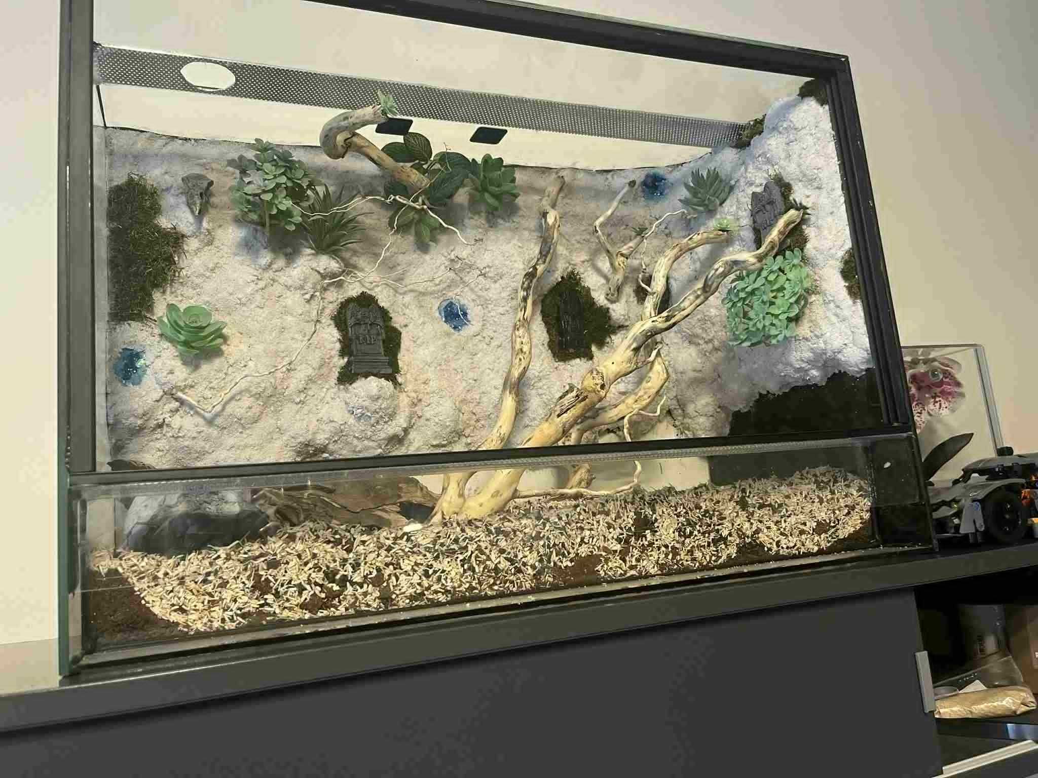 terrarium 60x30x40