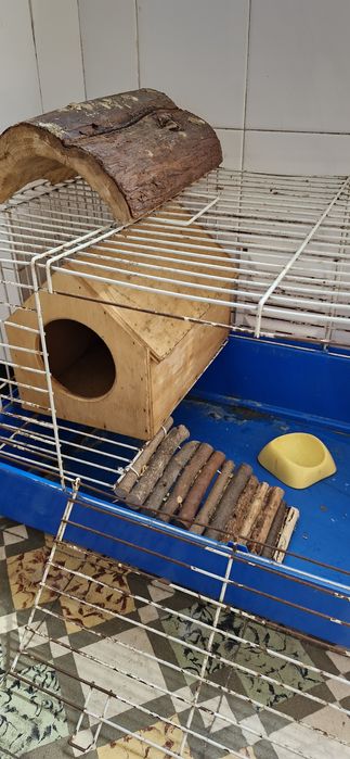 Gaiola de Roedor Completa