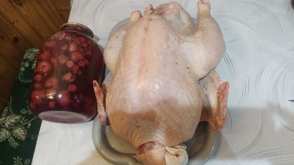 Тушка індика біг6 (3,5місяці)