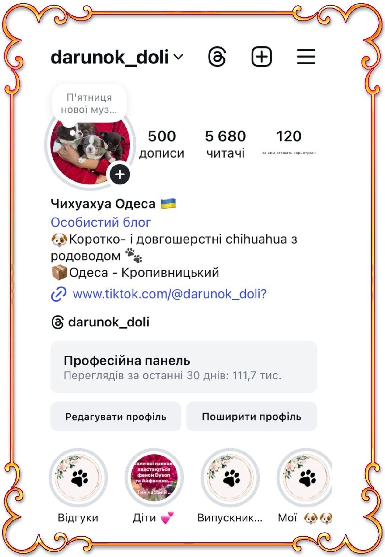 Длинношерстный мальЧИШКА шоколадный. Мини. Родословная,чип,