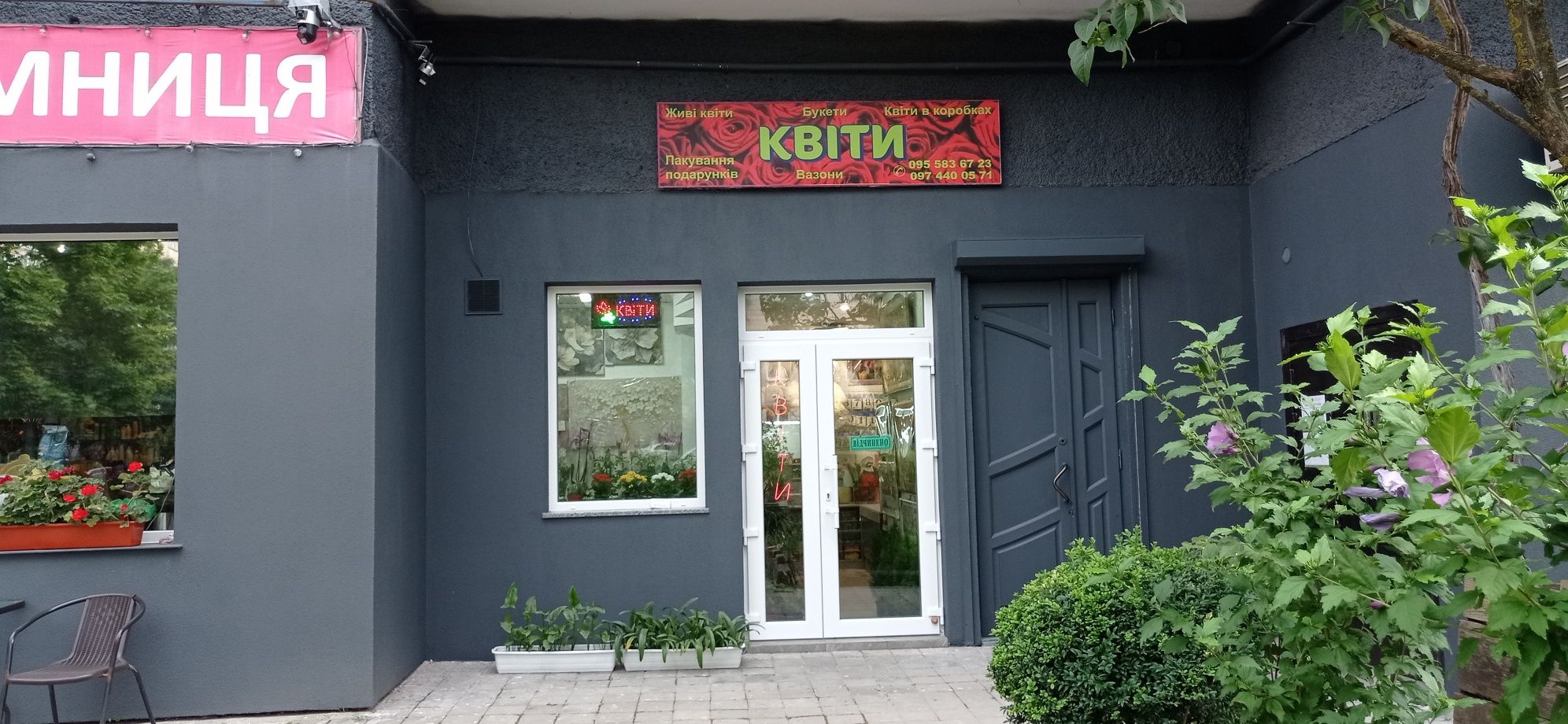 Тюльпани,рози,троянди,квіти, хризантеми,цветы,букет.Гелеві кульки.