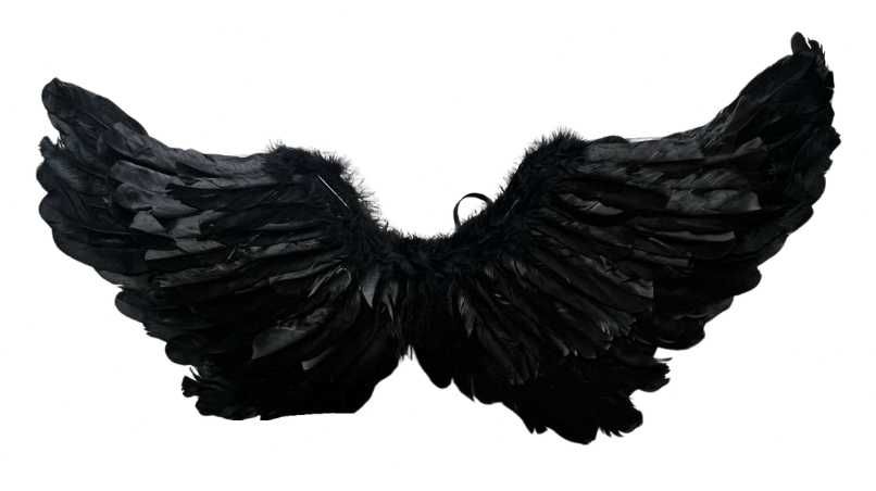Skrzydła czarne mroczny anioł