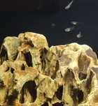 Pedra Dragon stone