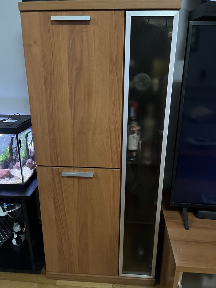 Conjunto de sala ( mesa de centro , movel apoio televisao , vitrine)