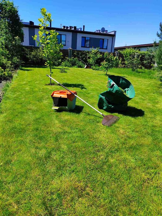 Газон,стрижка ,догляд