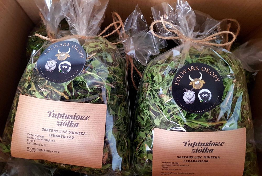 Suszone liście mniszka lekarskiego 100g zioła dla królika, świnki,