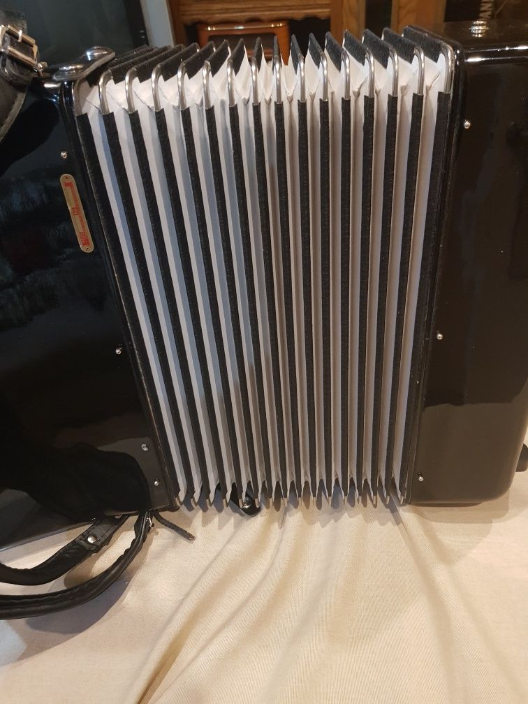 Akordeon Parrot 60 basowy