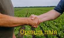 Дорого Оренда земельної ділянки