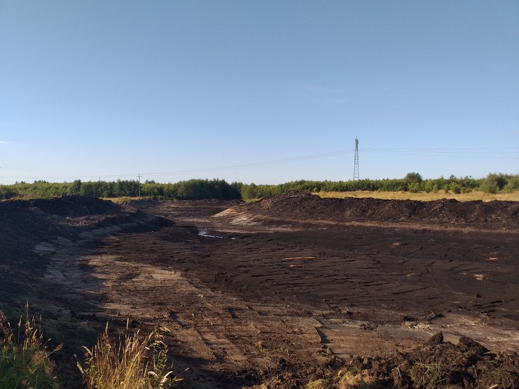 Kopanie Stawów Wykopy  Rekultywacje odmulanie koparka long faszyna