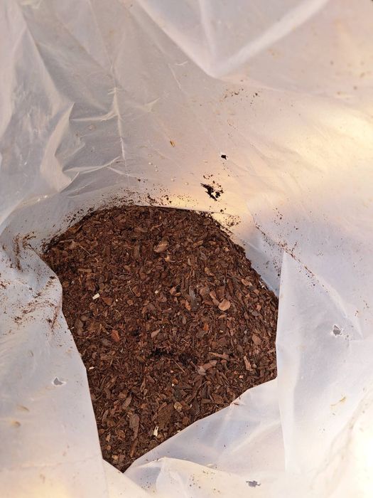 Кора соснова мульча вiд виробника!