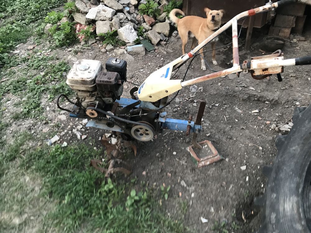 Продаю мотоблок zubr